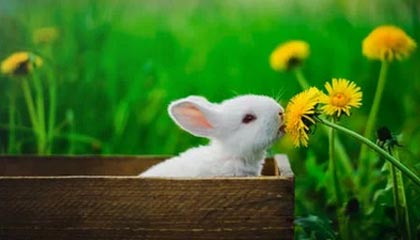 海盐最新的高价医保卡惠民保险代扣怎么取消掉了方法分享(海盐惠民医保怎么报销教程)